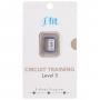 SD  ICON Circuit Training Level 3