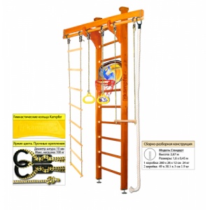    Kampfer Wooden Ladder Ceiling Basketball Shield