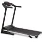    Carbon Fitness T500