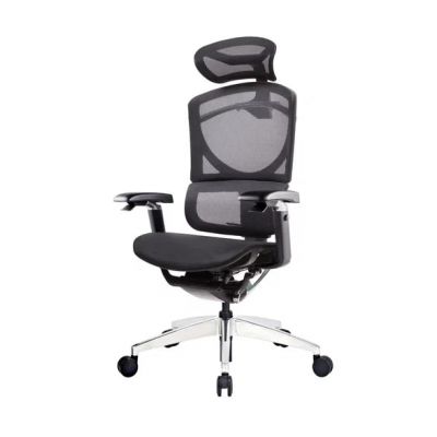   GT Chair Isee X -      - "  "