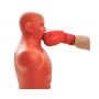   DFC Centurion Boxing Punching Man-Medium TLS-B